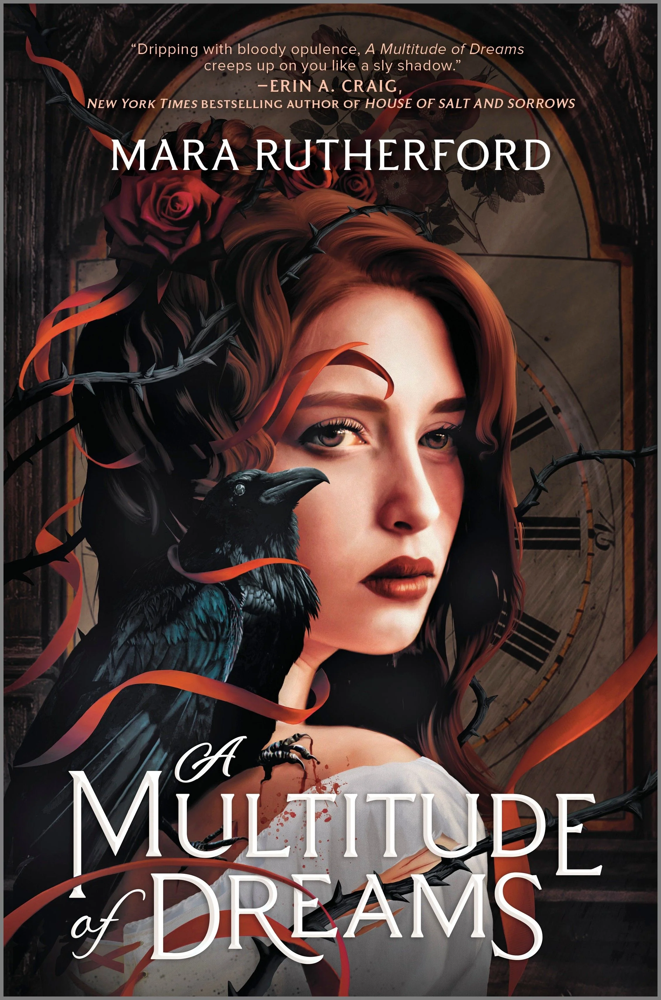 A Multitude of Dreams - Image 2