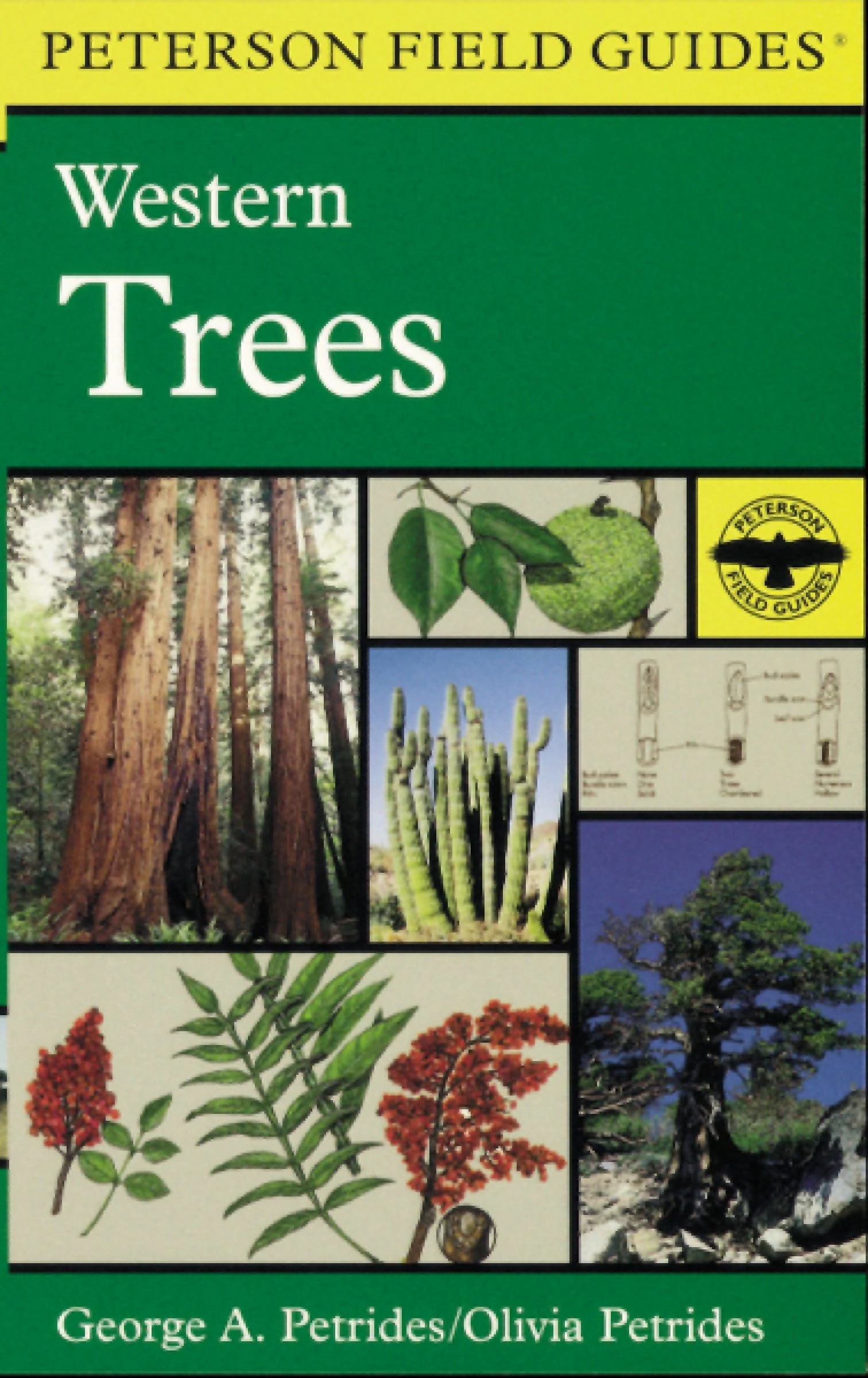 A Peterson Field Guide To Western Trees
