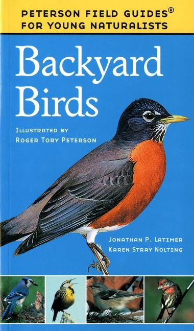 Backyard Birds - Image 2