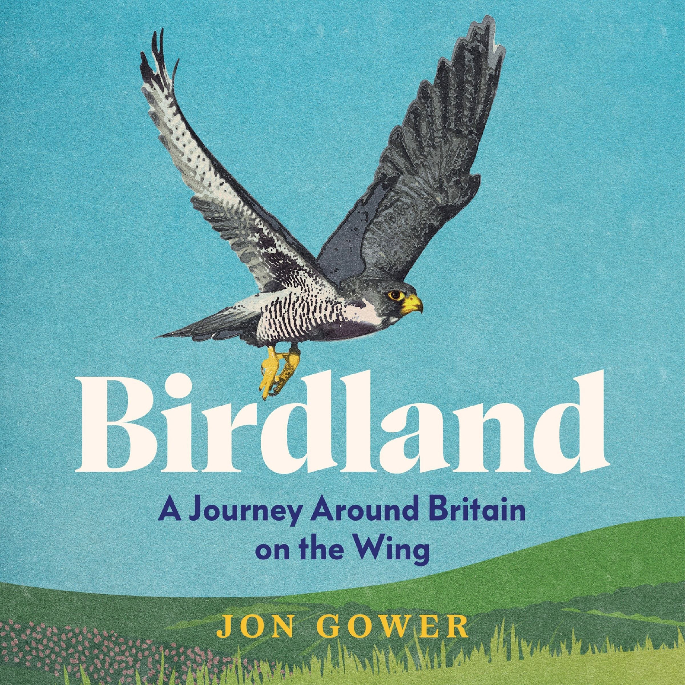 Birdland: A Journey Around Britain on the Wing - Image 3