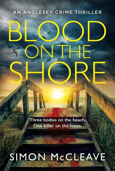 Blood on the Shore (The Anglesey Series, Book 3) - Image 4