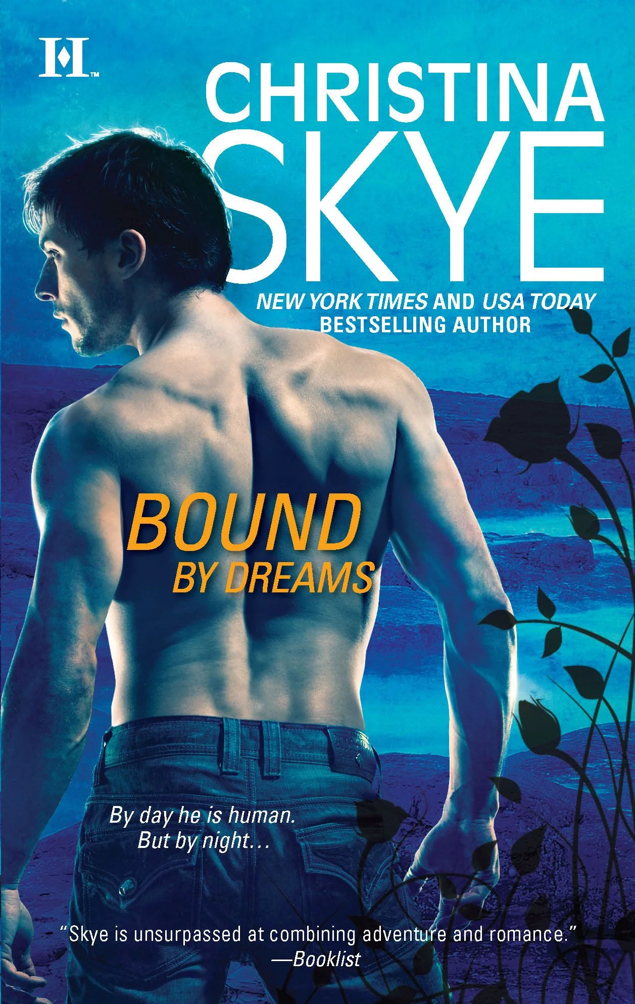 Bound by Dreams - Image 2