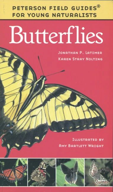Butterflies - Image 2