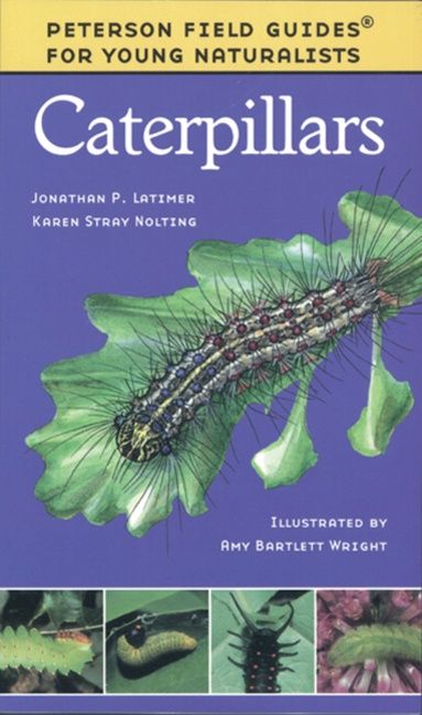 Caterpillars - Image 2