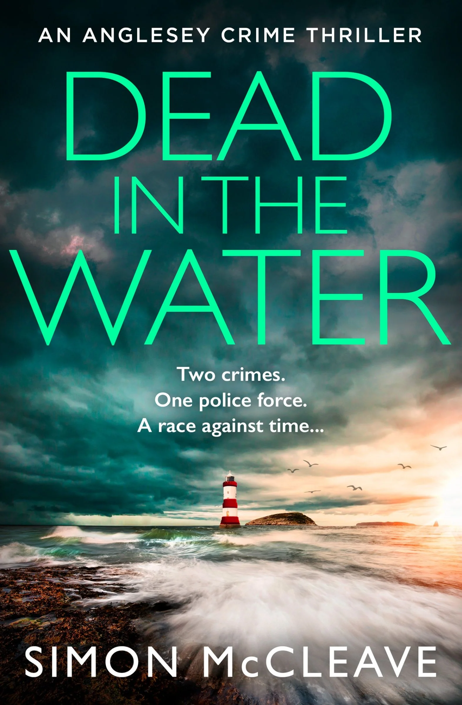 Dead in the Water (The Anglesey Series, Book 5) - Image 3