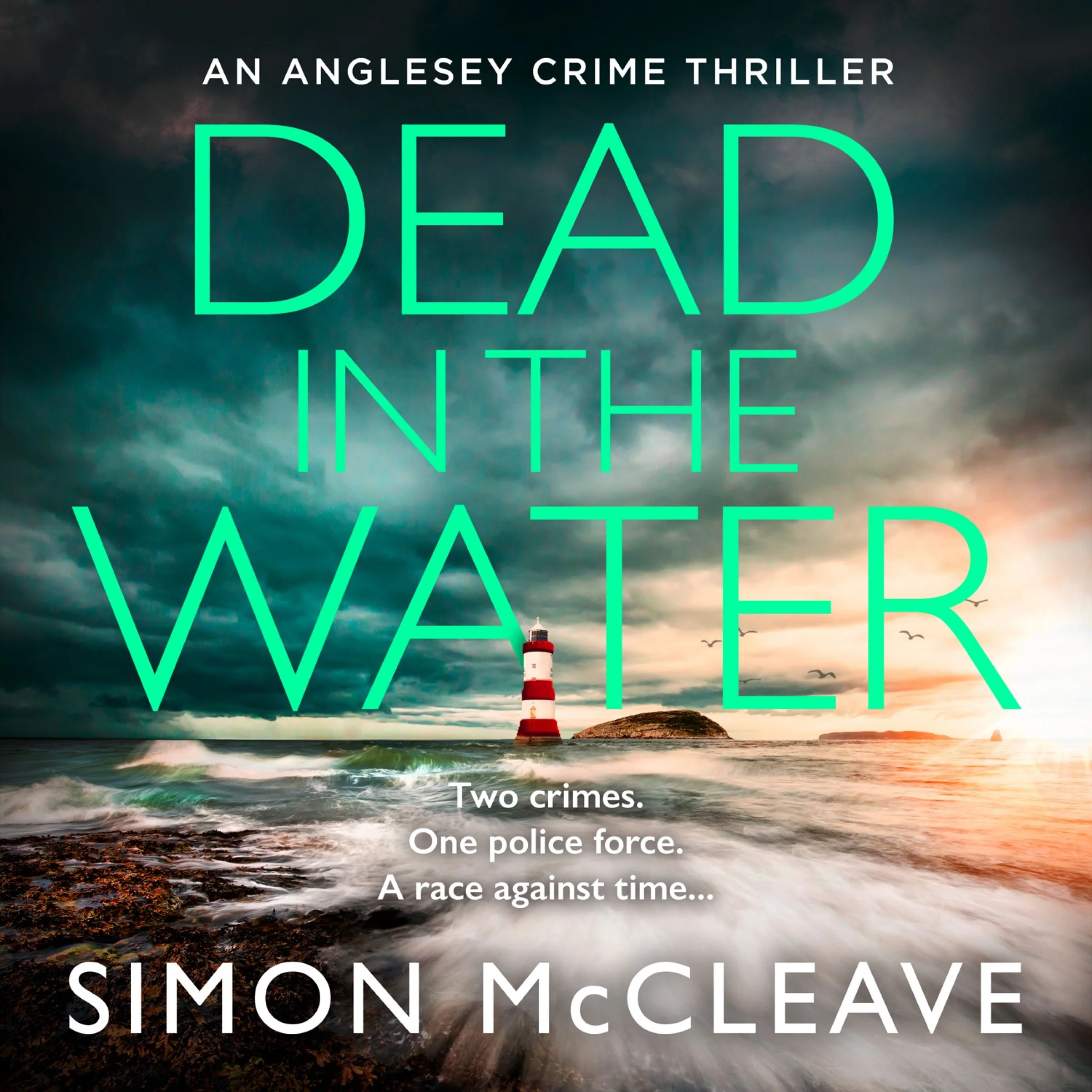Dead in the Water (The Anglesey Series, Book 5) - Image 4