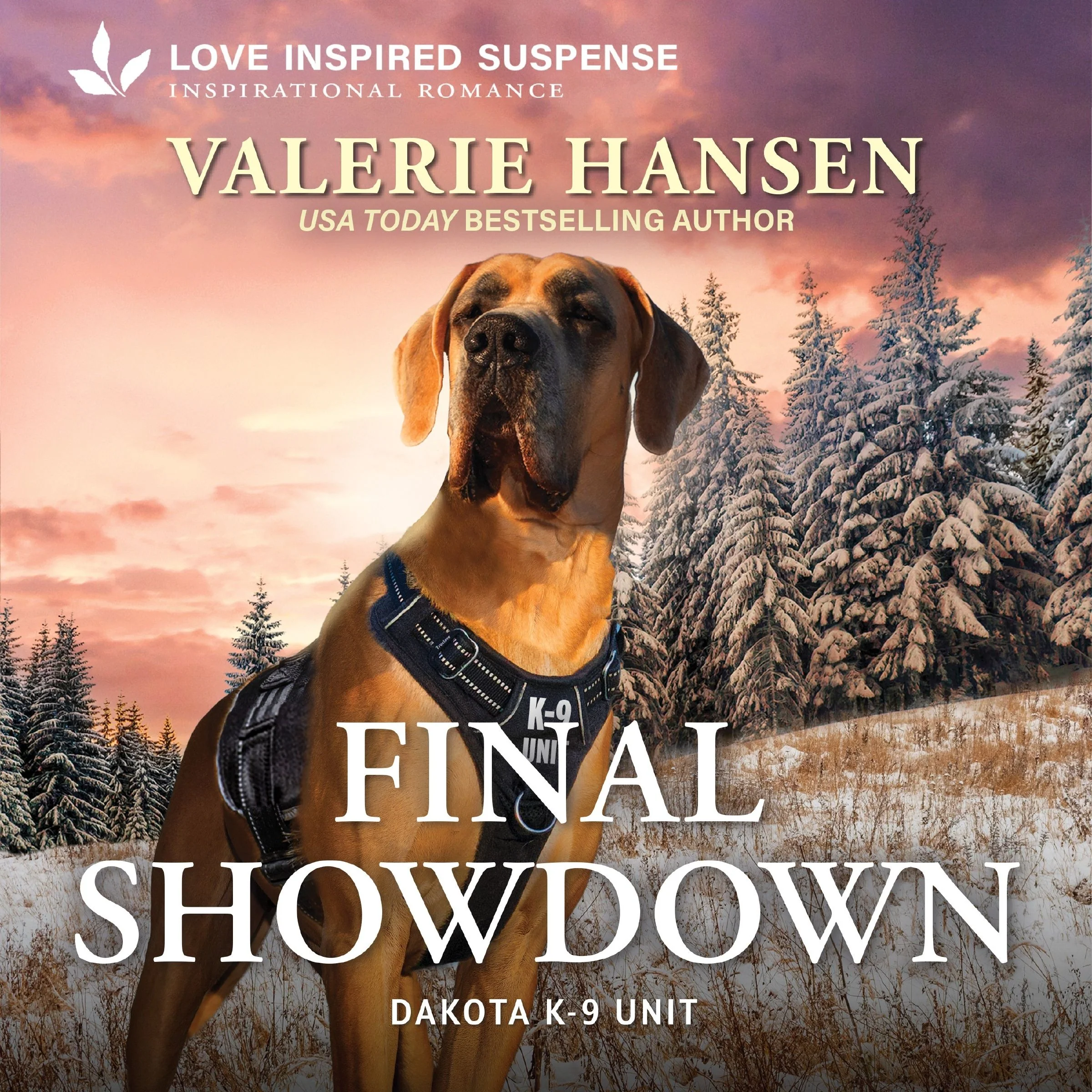 Final Showdown - Image 2