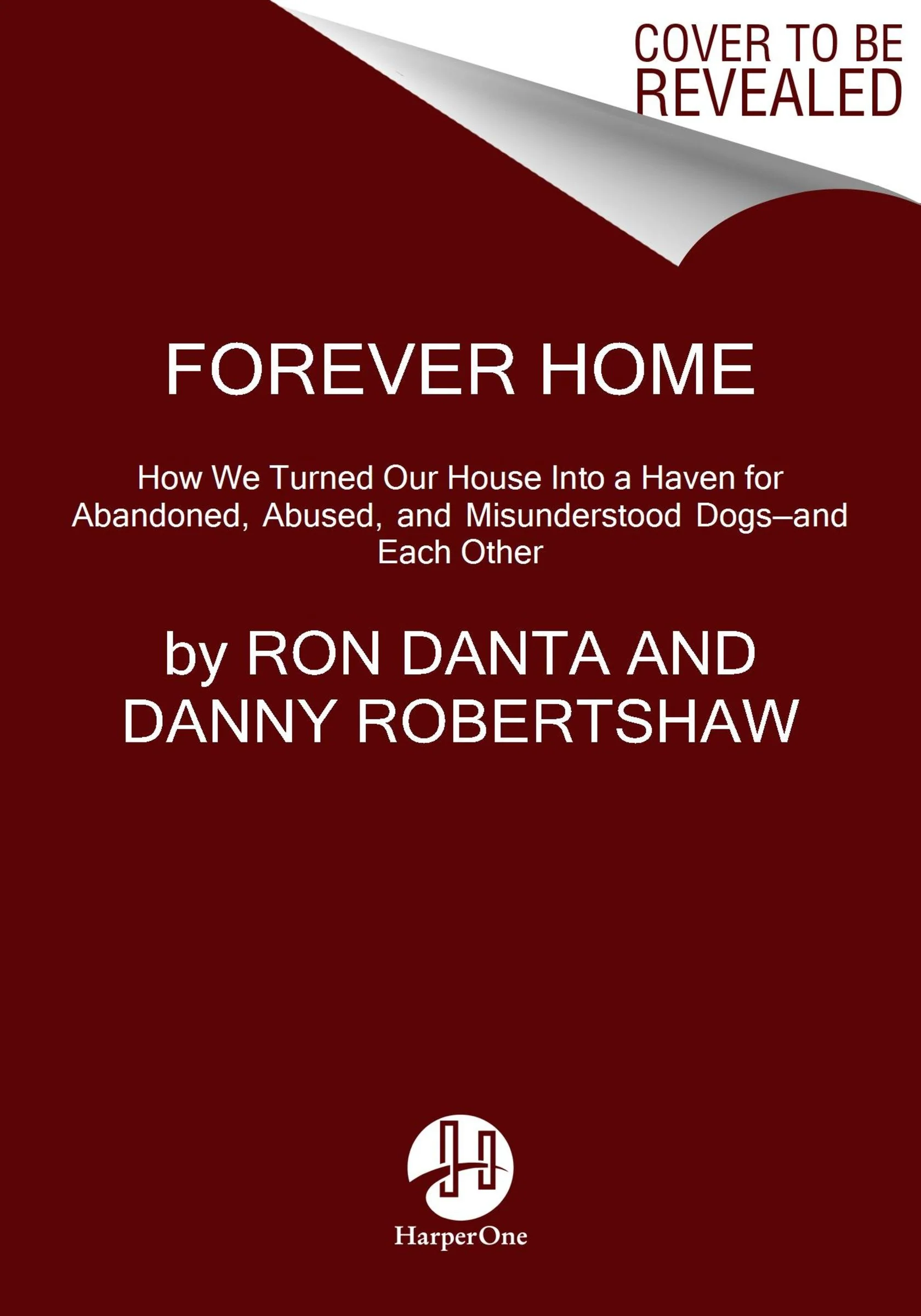 Forever Home - Image 3