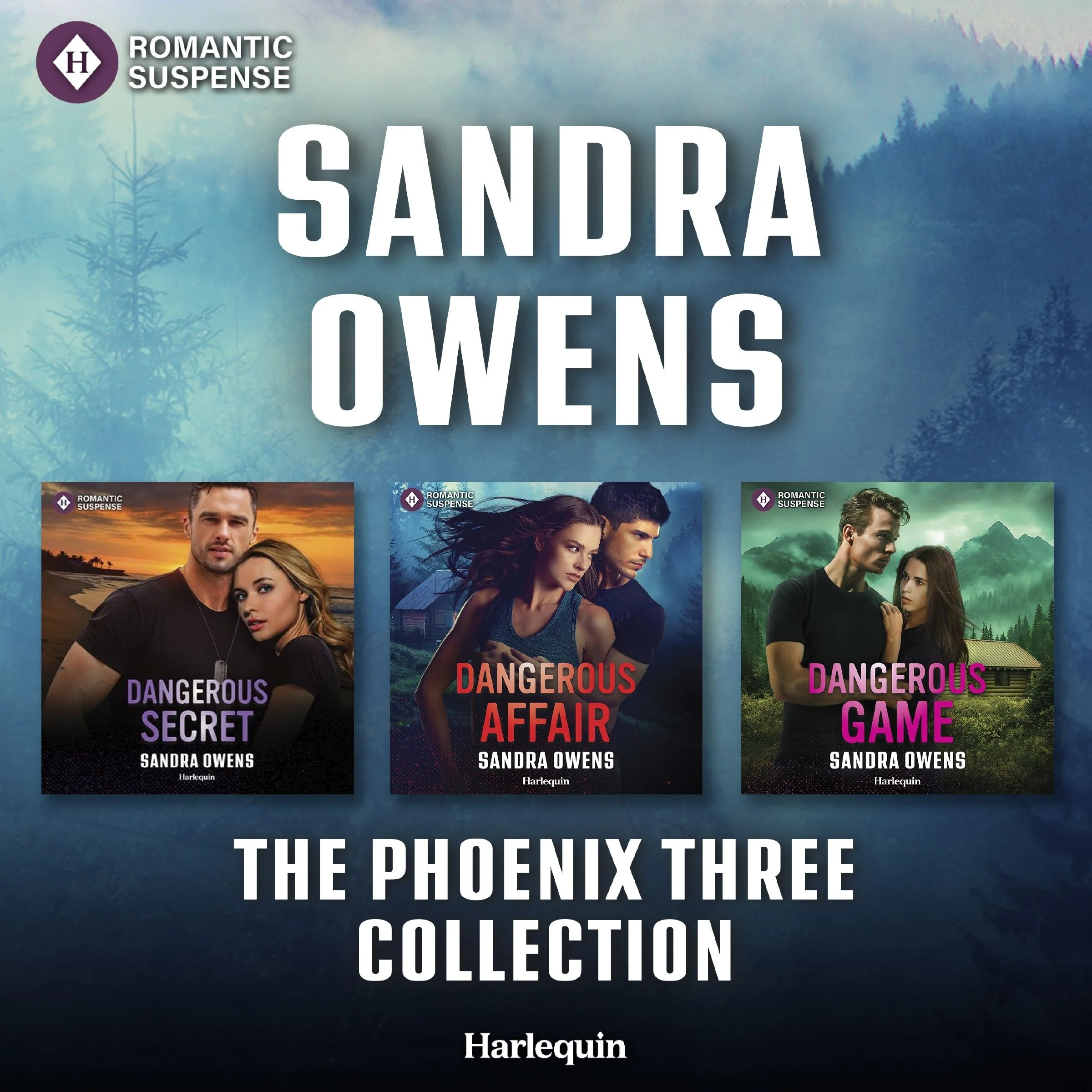 Harlequin Romantic Suspense The Phoenix Three Collection - Image 2