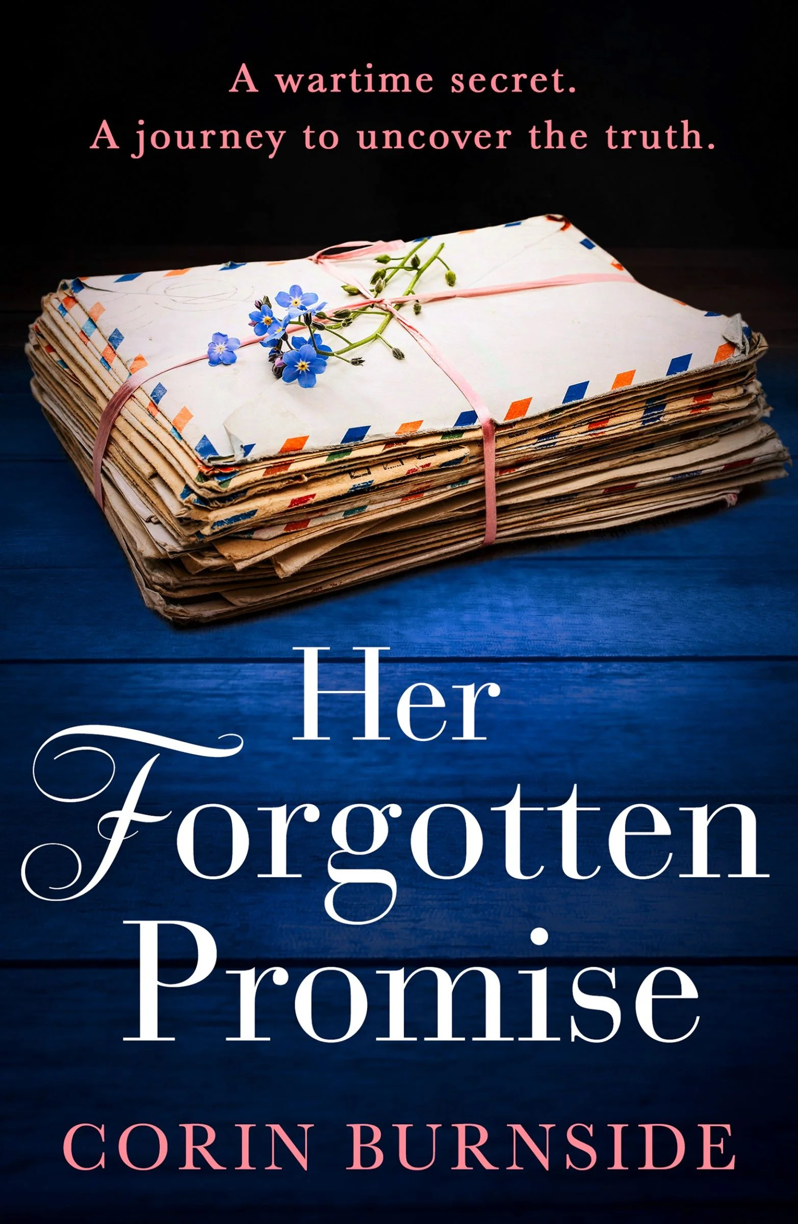 Her Forgotten Promise - Image 4