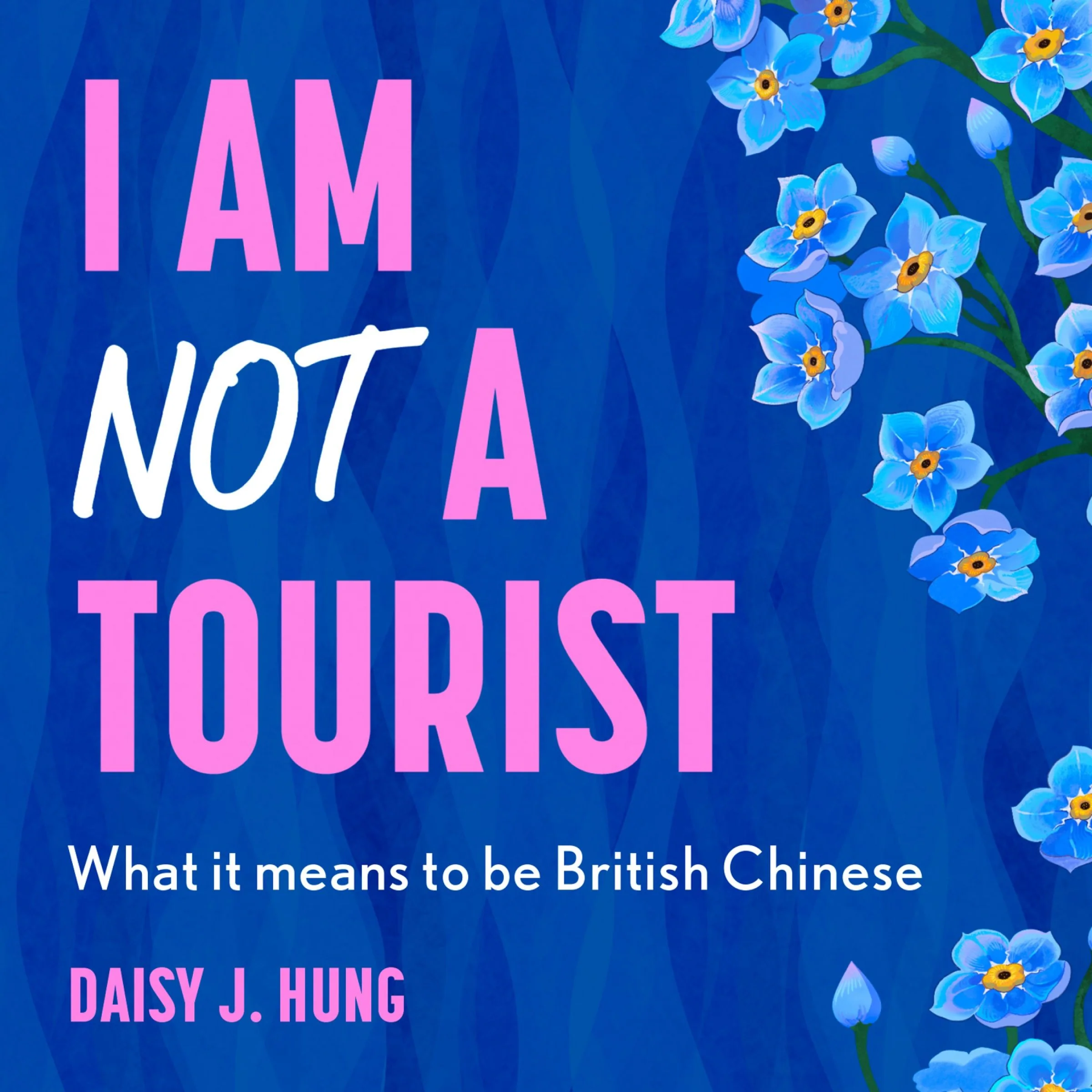 I Am Not a Tourist - Image 4