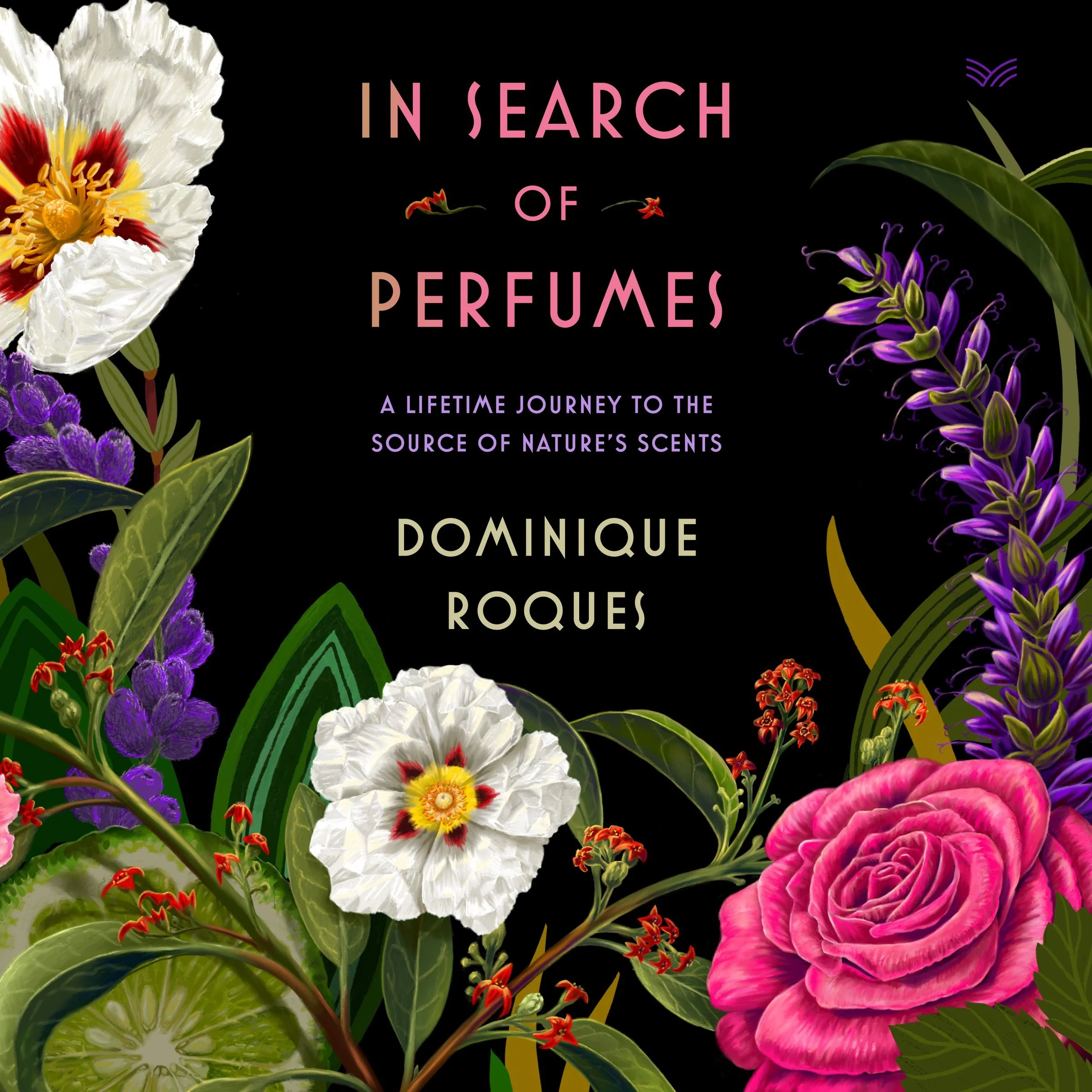 In Search of Perfumes - Image 4