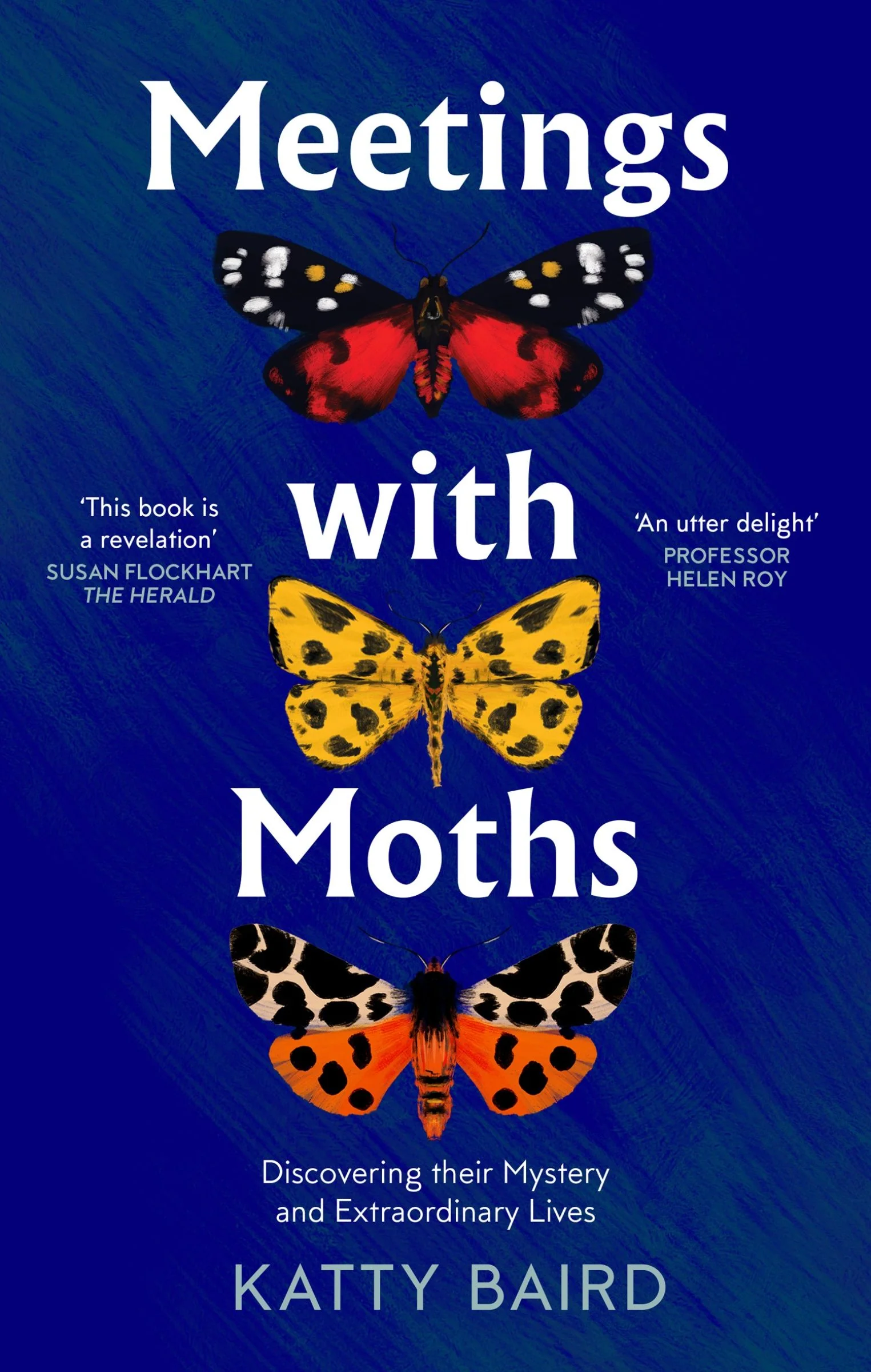Meetings with Moths: Discovering their Mystery and Extraordinary Lives - Image 3