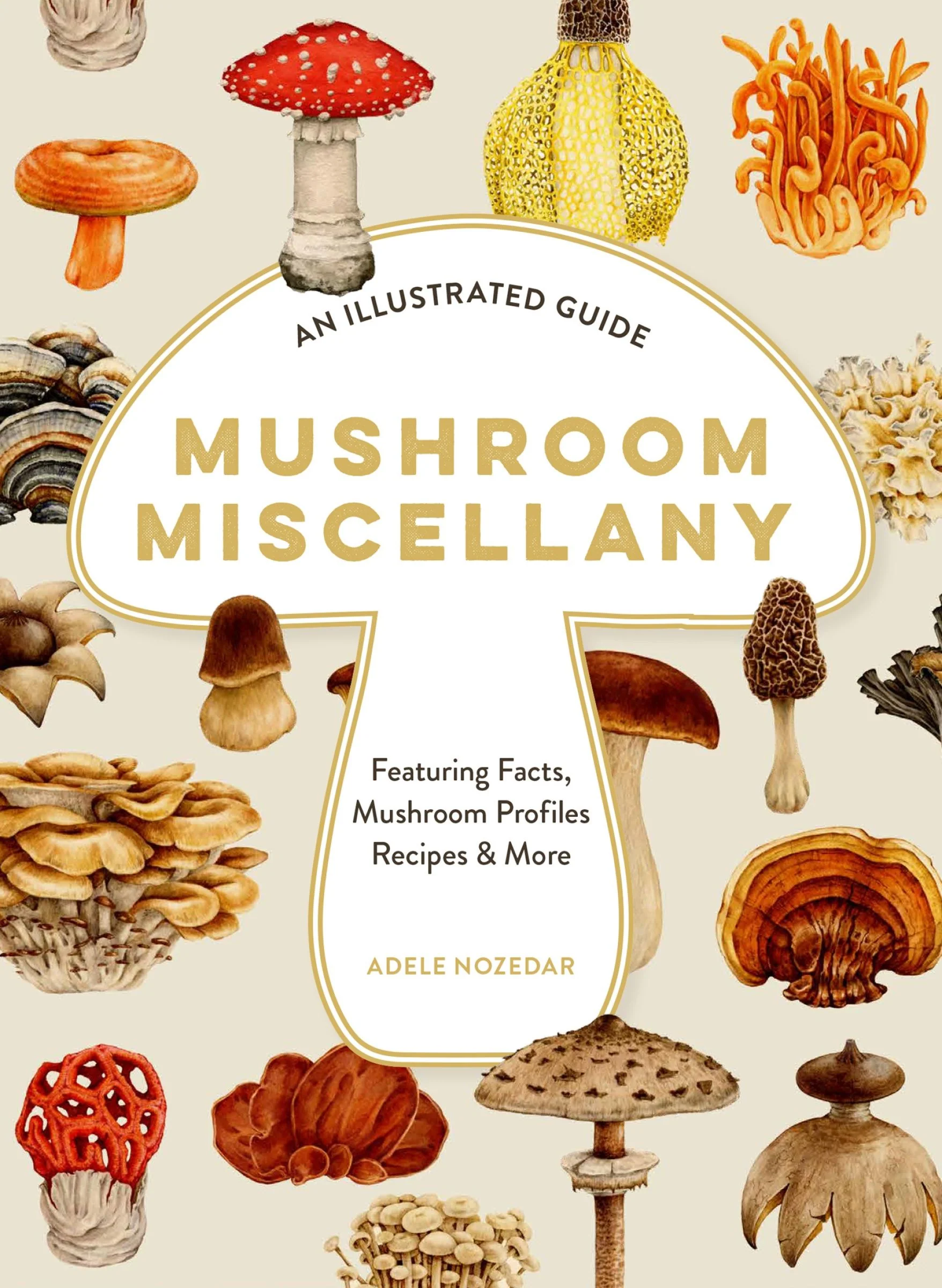 Mushroom Miscellany: An Illustrated Guide Featuring Fun Facts, Mushroom Profiles, Recipes & More - Image 2