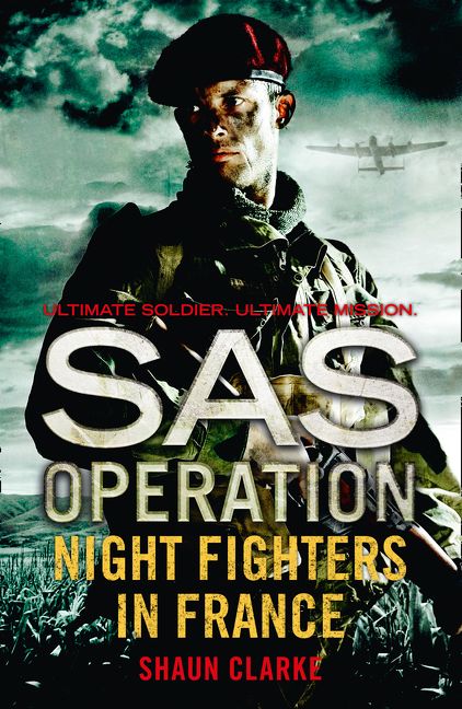 Night Fighters in France - Image 2