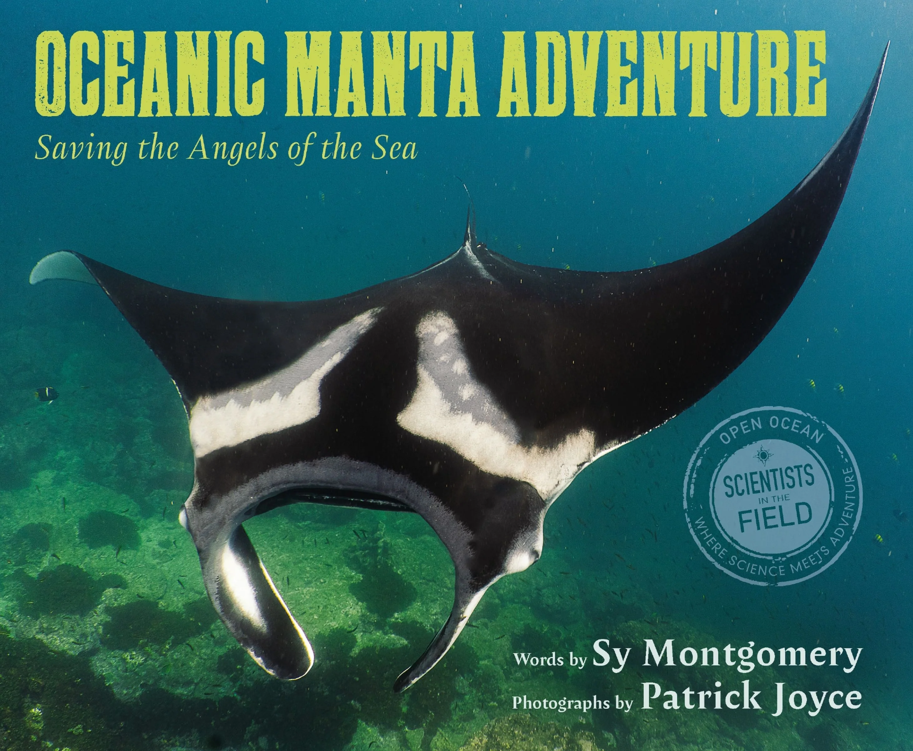Oceanic Manta Adventure - Image 3