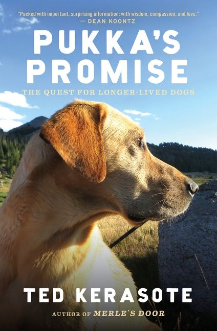 Pukka's Promise - Image 2