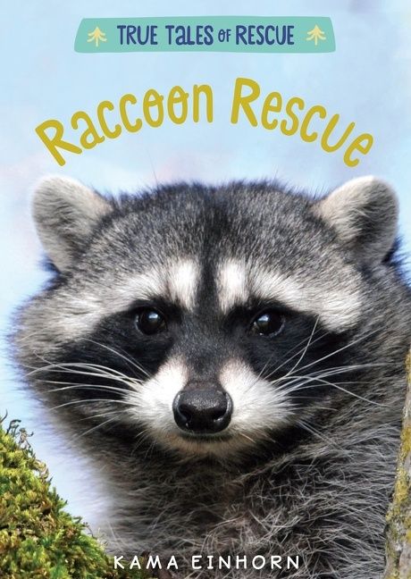 Raccoon Rescue - Image 2