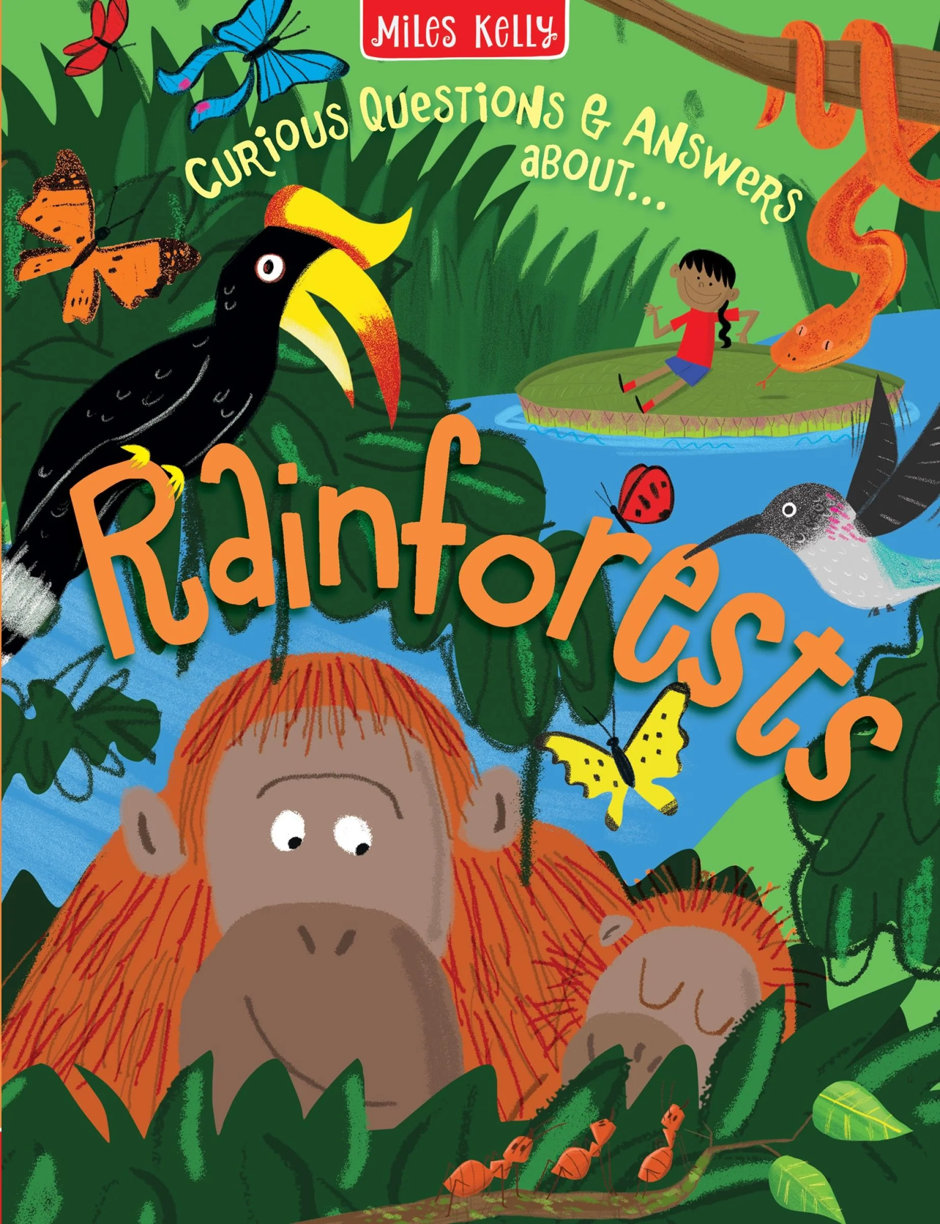 Rainforests (Curious Questions & Answers about…)