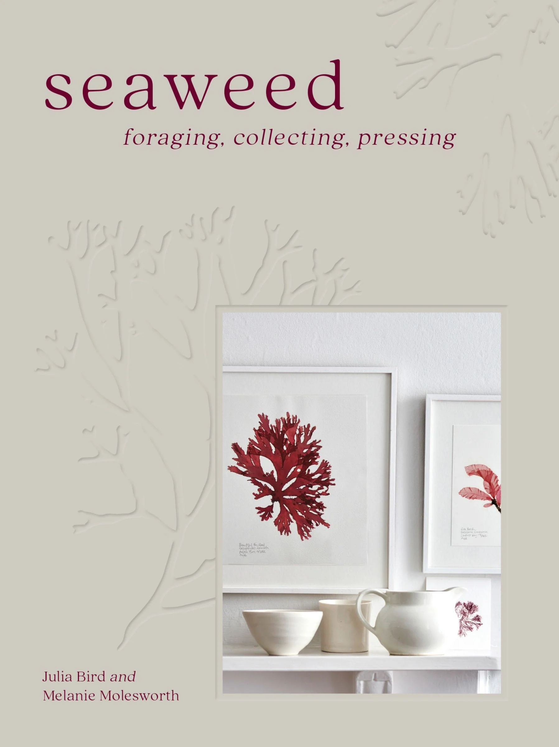 Seaweed - Image 2