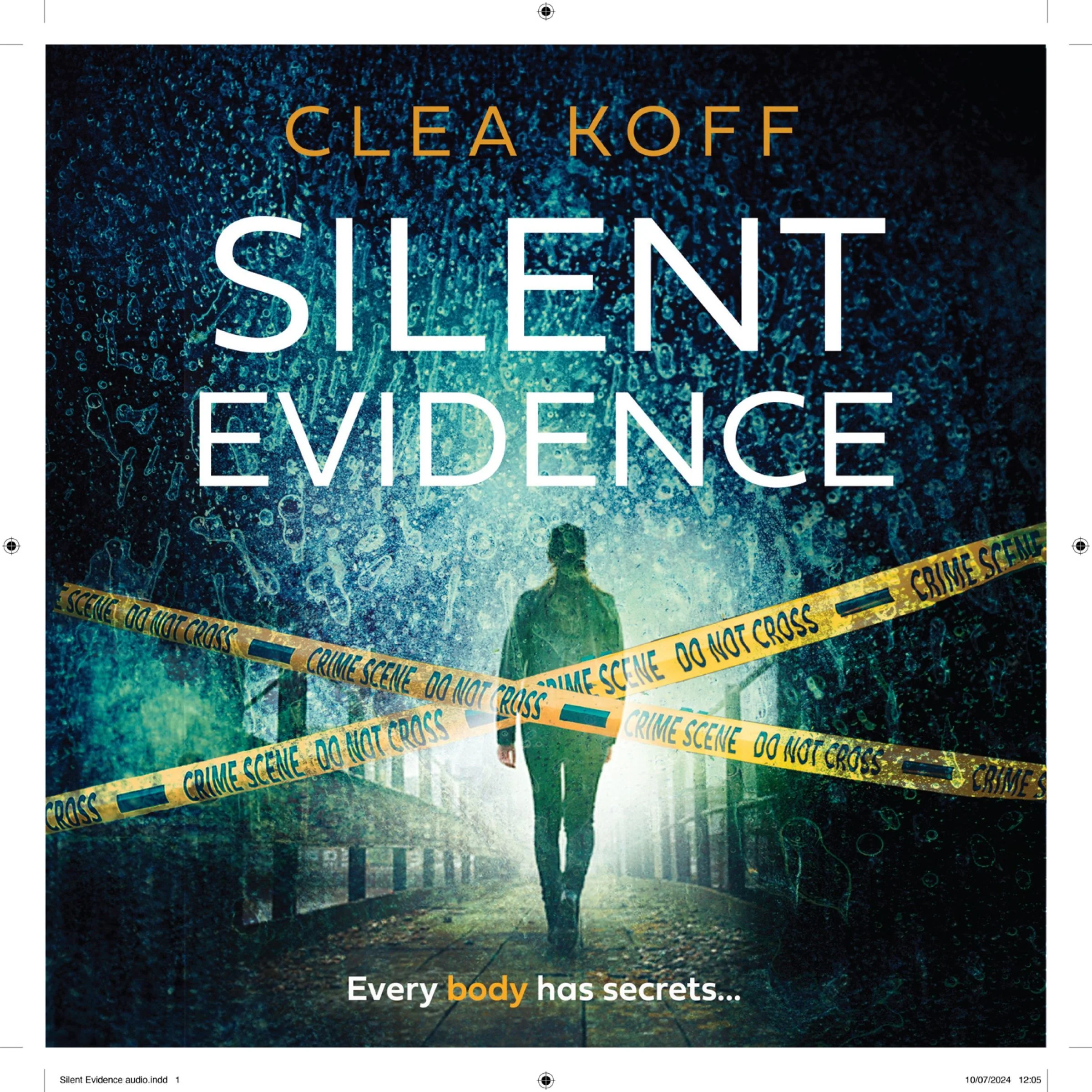 Silent Evidence (The Jayne and Steelie Series, Book 1) - Image 4
