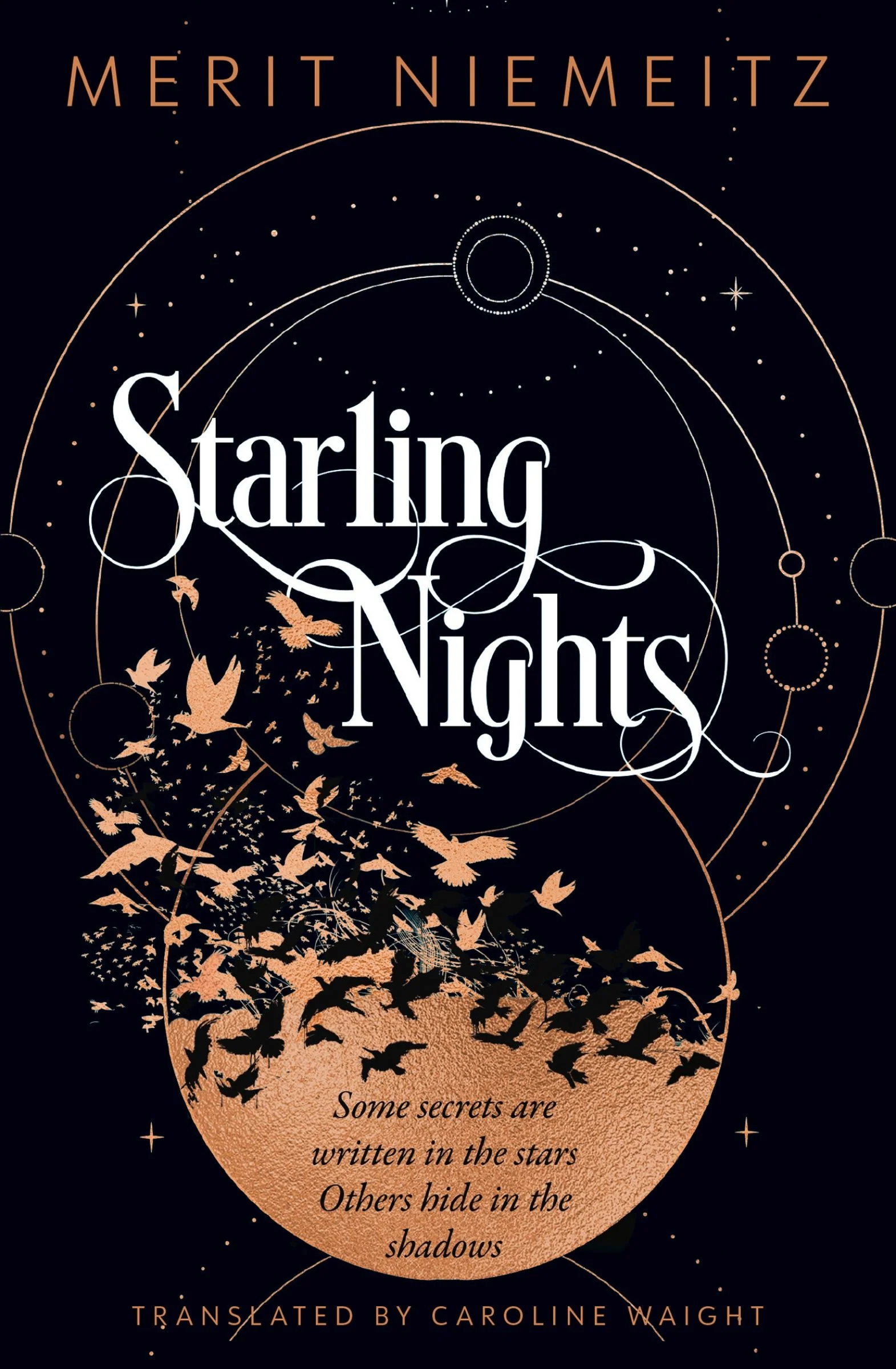 Starling Nights - Image 3