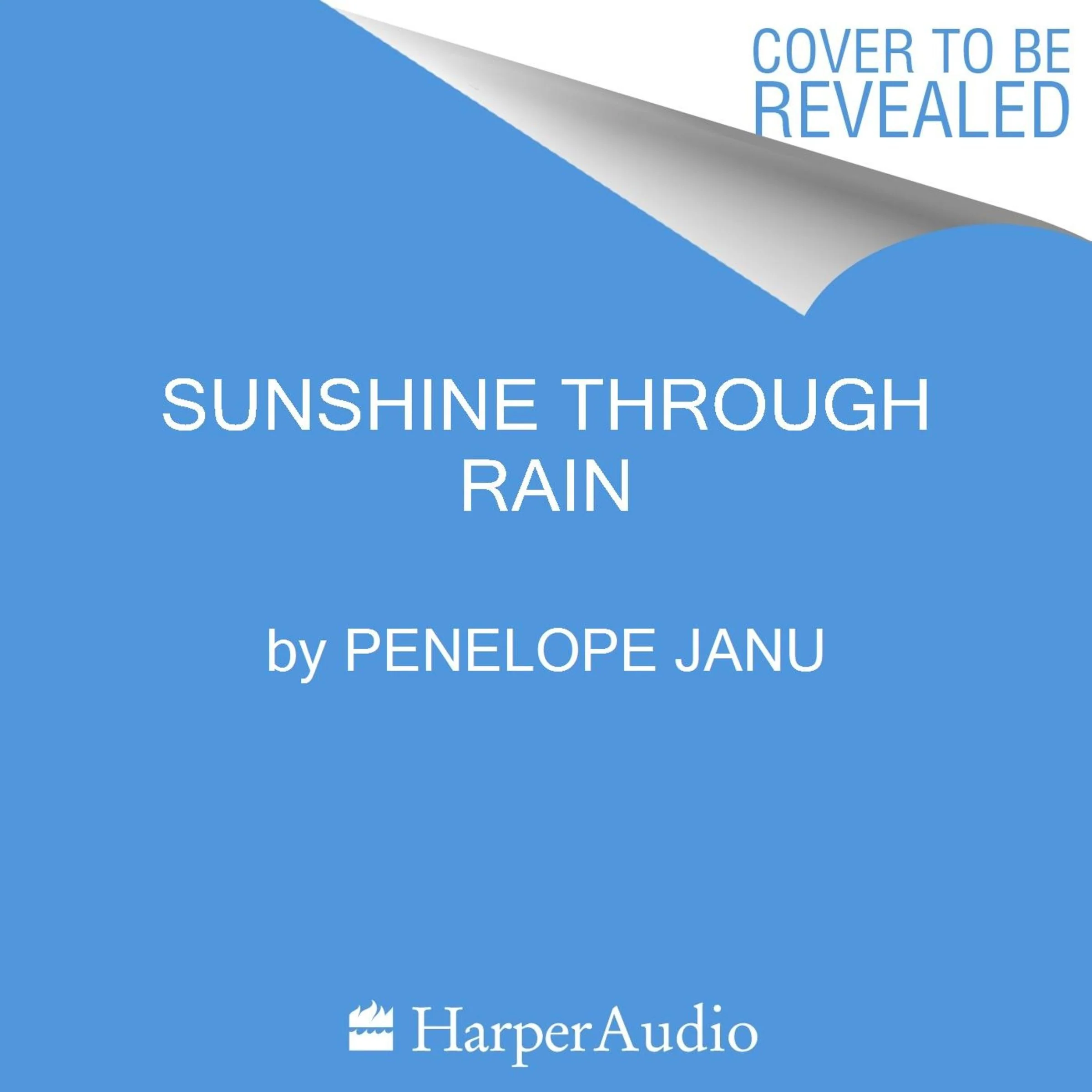 Sunshine Through Rain - Image 2