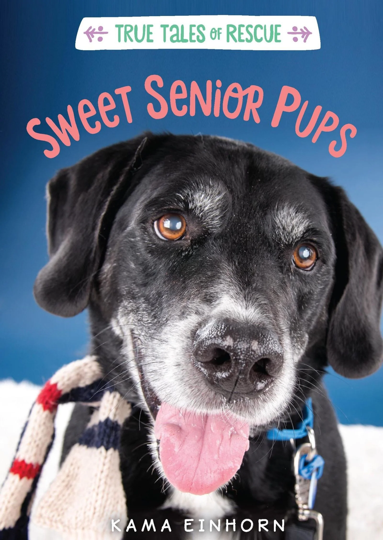 Sweet Senior Pups - Image 2