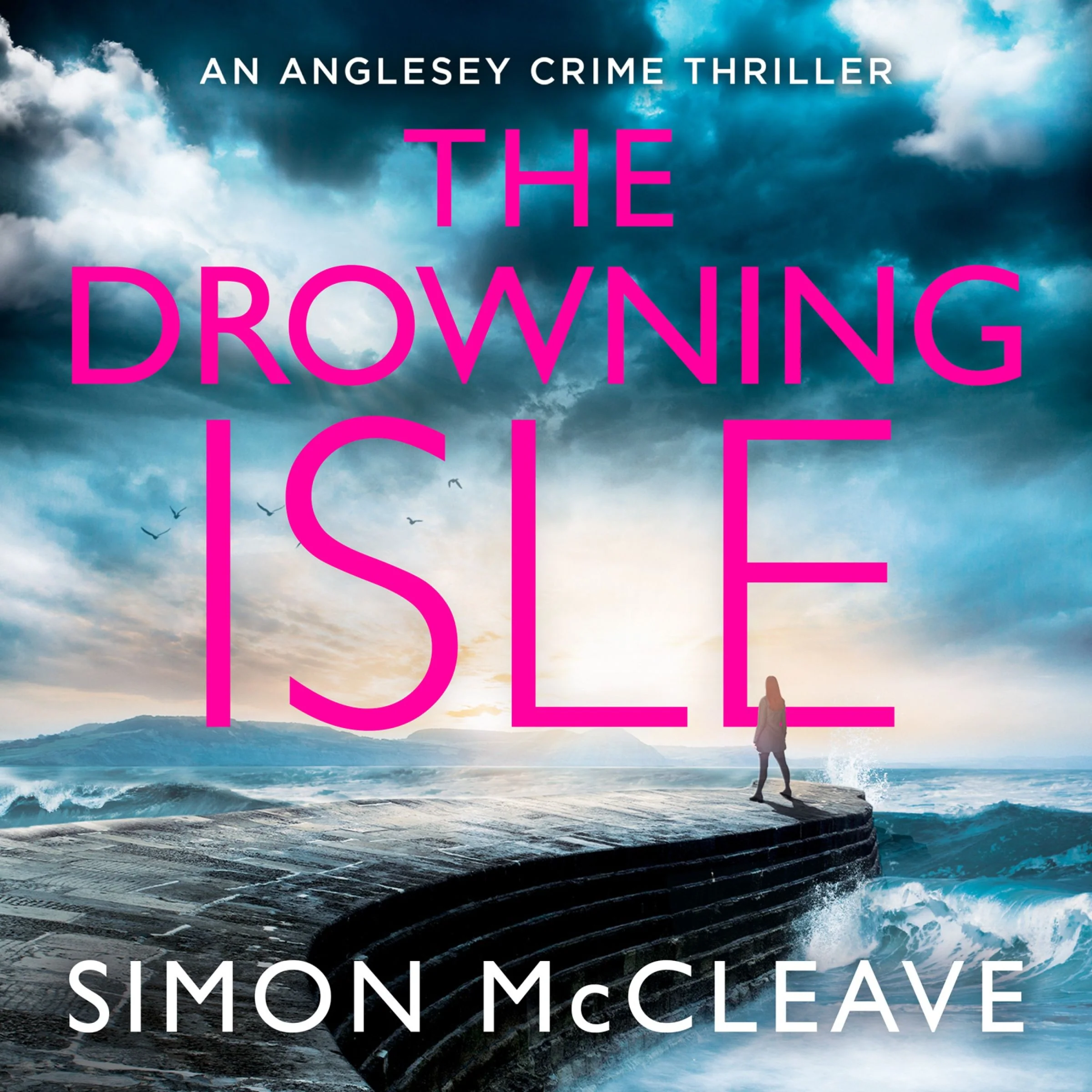 The Drowning Isle (The Anglesey Series, Book 4) - Image 3