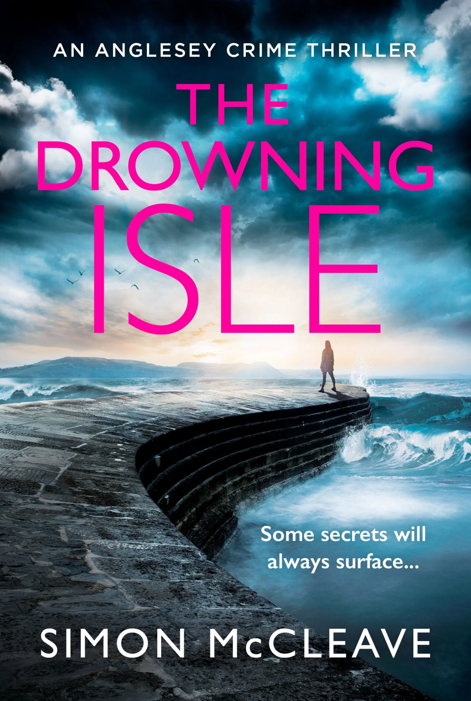The Drowning Isle (The Anglesey Series, Book 4) - Image 4