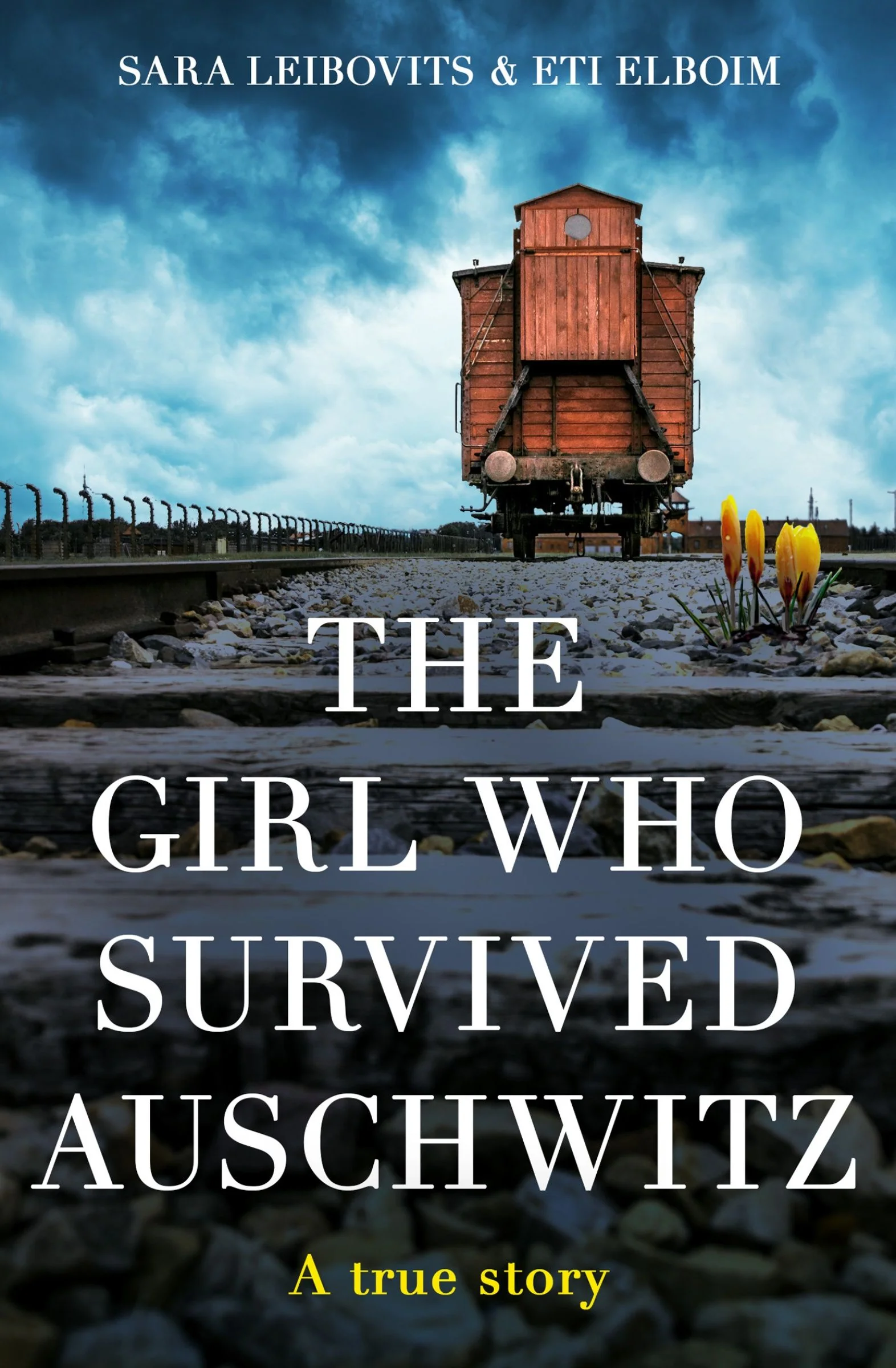 The Girl Who Survived Auschwitz - Image 2