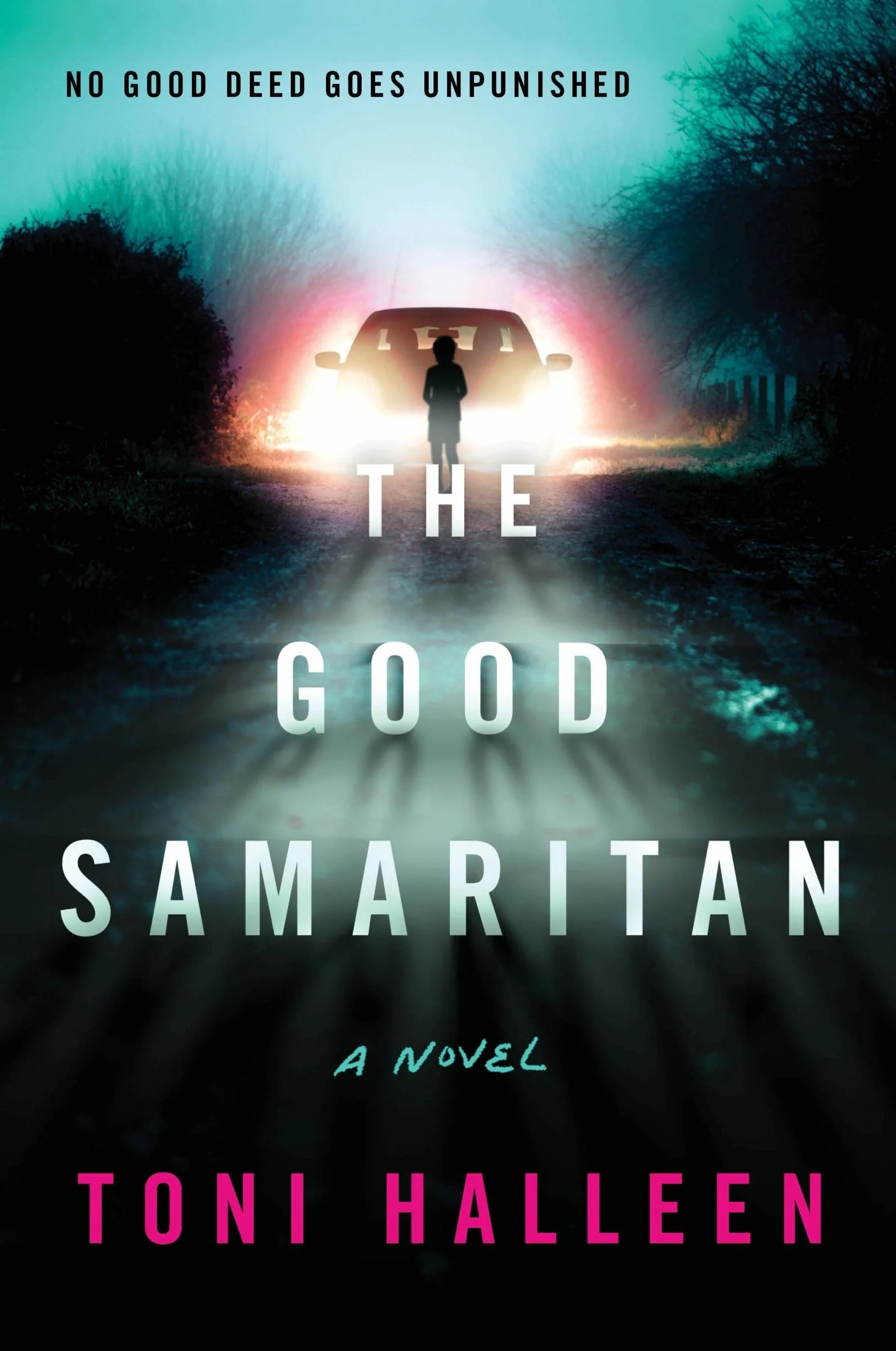 The Good Samaritan - Image 4