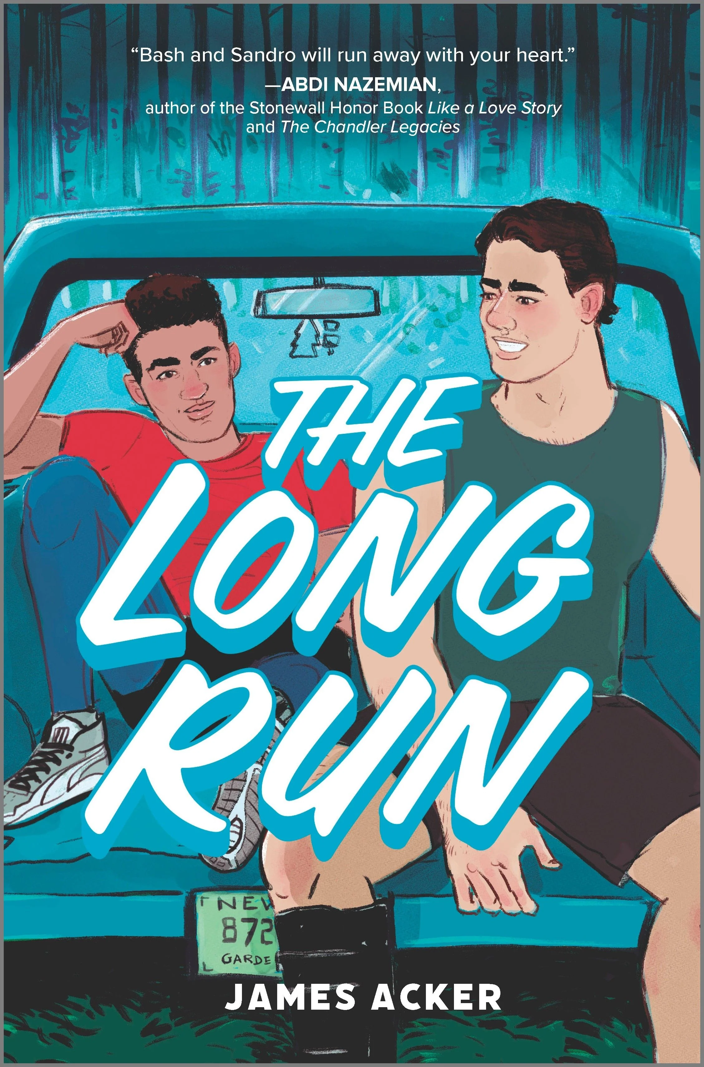 The Long Run - Image 3