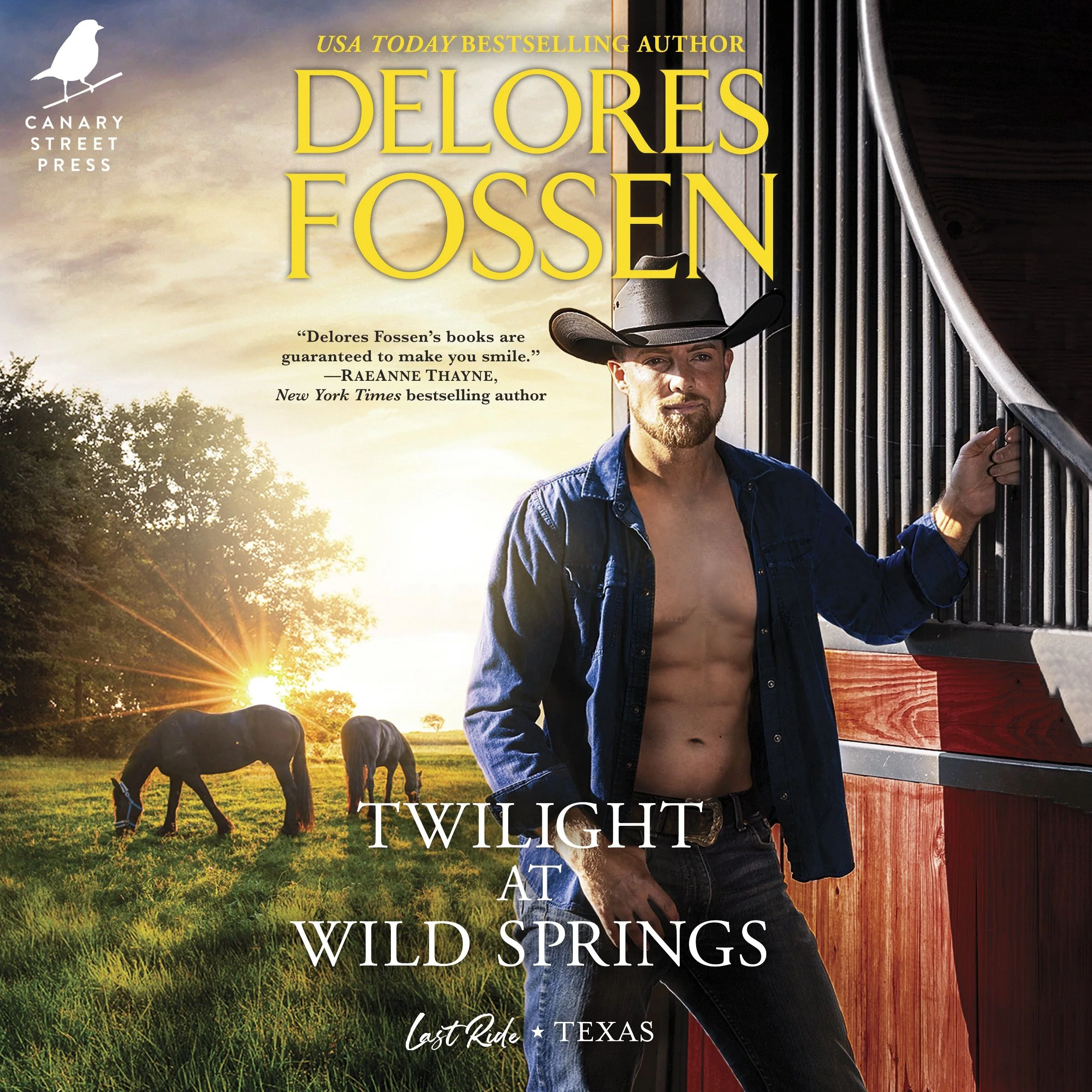 Twilight at Wild Springs - Image 4