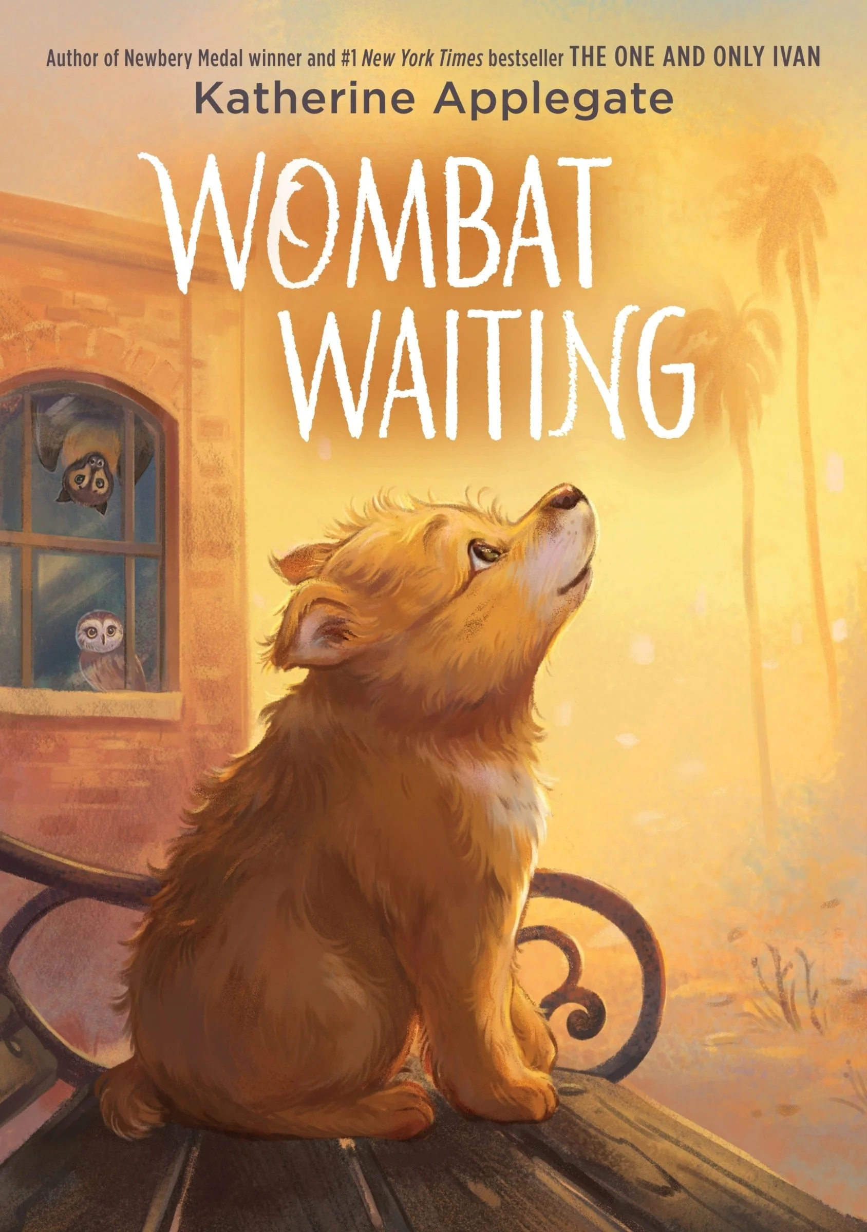 Wombat Waiting - Image 4